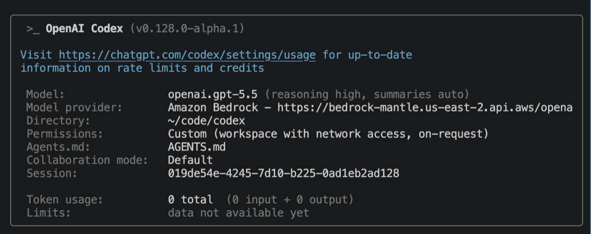Codex CLI session showing model openai.gpt-5.5 with model provider Amazon Bedrock